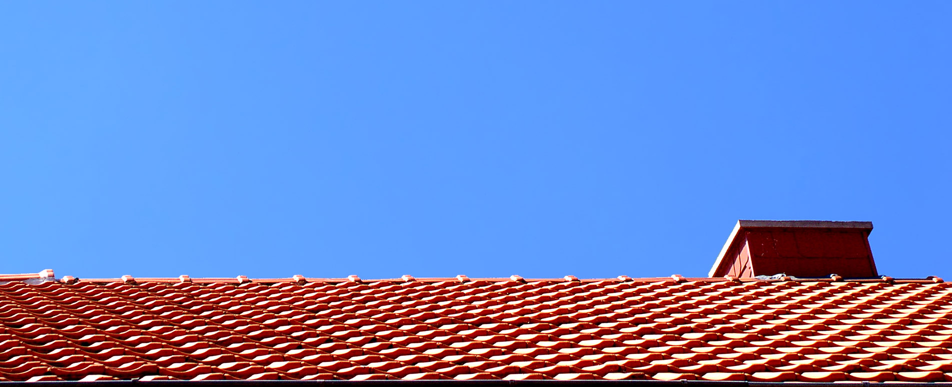 Banner - Dennis Wolf